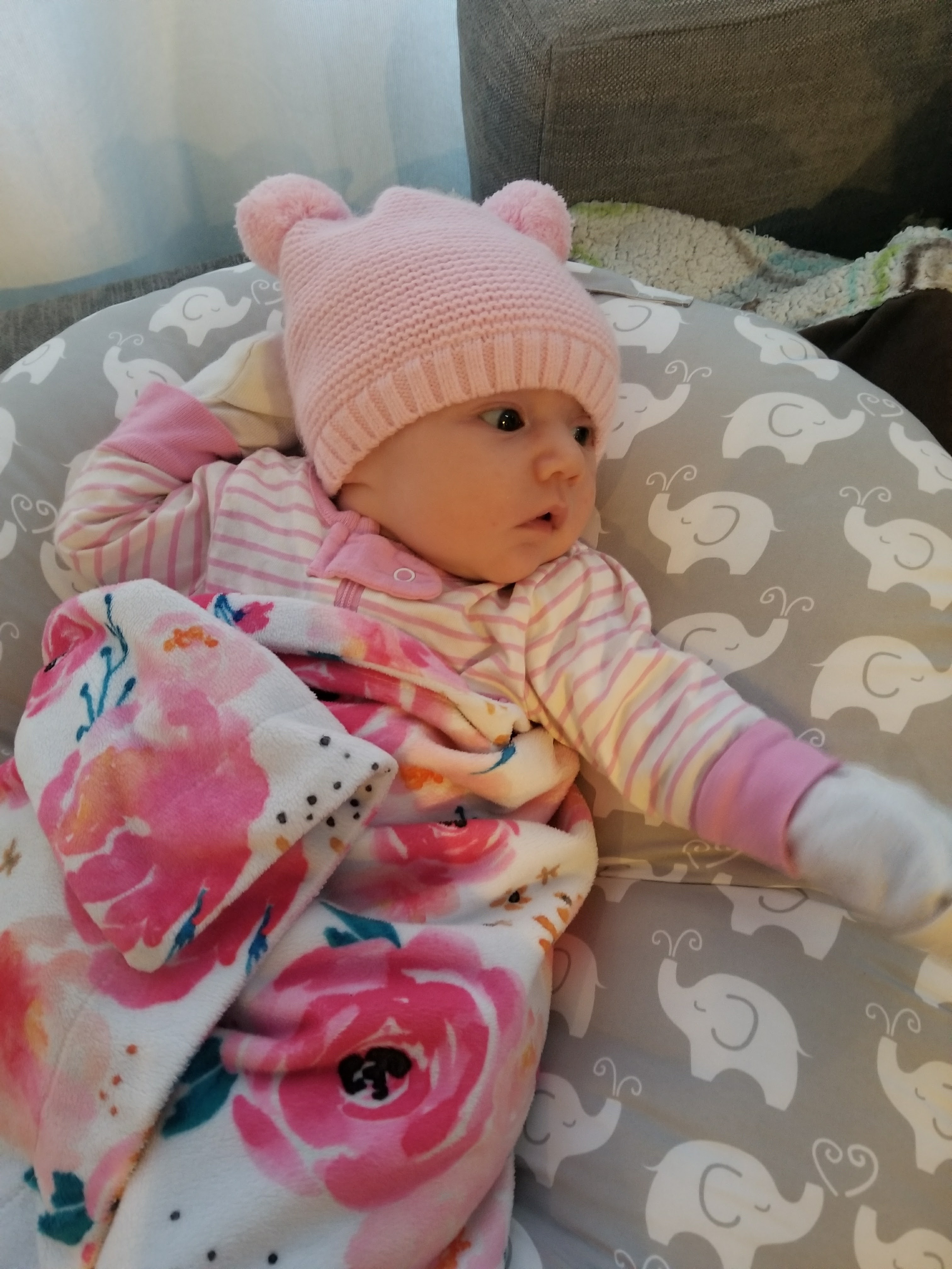 20171112_065132 Kismet House