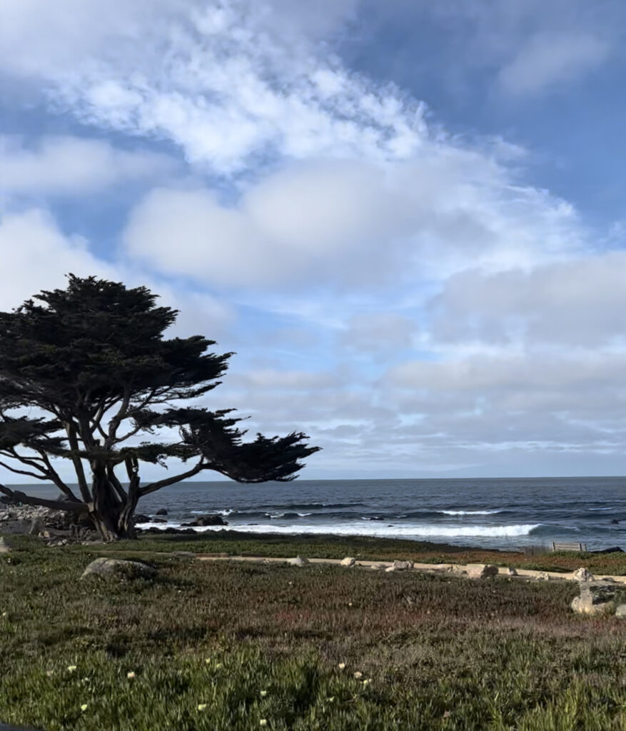 Why Did You Move Kismet House